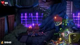 Luigi Mansion 3 - Garden Suites The Boss