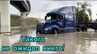 Потоп в Майами и его последствия