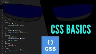 How to style your website |  CSS BASICS