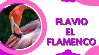 FLAVIO EL FLAMENCO 🦩