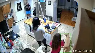 Family Gets Surprised by Rogue Bat Flying Into Their House - 1534440
