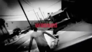 GTA V doesn't like it when you shoot a dog