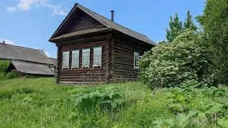 5 июня 2023 г.