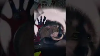 Коли перевіряєш чому пожежний насос не всмоктує воду 🤭