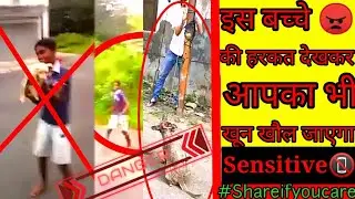 IS BACHE NE KYA KIYA 😡 DEKH KAR APKA BHI KHOON KHOL JAYEGA😡janwaro se pyar he toh is video ko dekhen