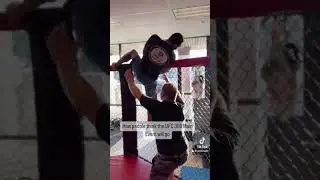 Jamahal Hill Taunts Alex Pereira's Leg Kicks