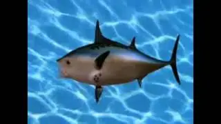 Spongebob Squarepants Opening Theme