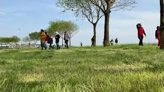 247 dahi club cover