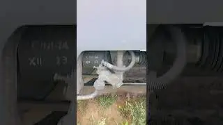 Эстетика 2ЭС6