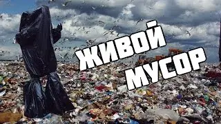 Живой мусор | Garbage Alive Prank