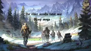 Обзор мода The elder scrolls total war