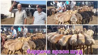 НАРХИ БАРРАЧА ХУДЖАНД  МОЛБОЗОРИ ХУЧАНД  Х8 июля 2023 г.