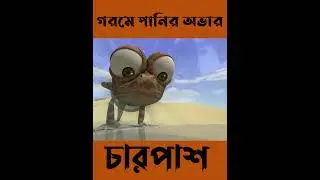 গরমে পানির পান করা #shorts
