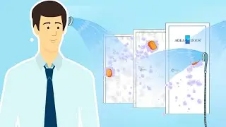 Объясняющее анимационное видео / создание видеороликов