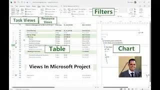 Views in Microsoft Project