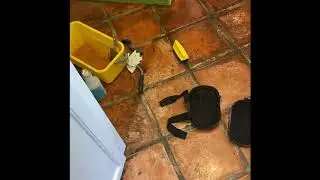 Customer wanted to destroy her kitchen floor!! Saltillo tile Full restoration.