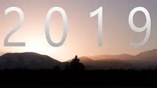 2019 - Year in Review