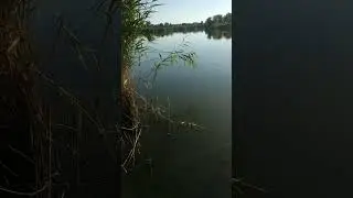 Хорошо на рыбалке 