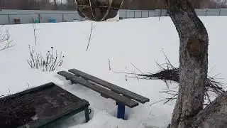 23 марта. Дождь .