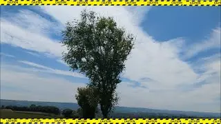 UK Countryside Walking Meditation 2024