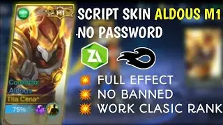 SCRIPT SKIN ALDOUS M1 FULL EFFECT | | NO PASSWORD | | ALL PACTH + WITH BACKUP
