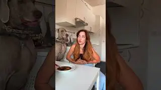 ОСКАР И ДЖОНИ ОТРАВИЛИ ЛЕРУ 😬