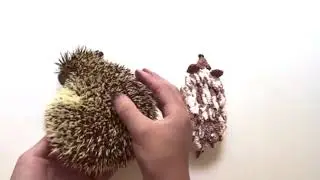 Слаймы на выбор