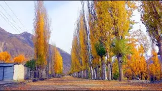 Autumn season 2021 promo || ONE LIFE PRODUCTIONS