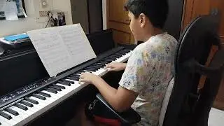 Fur Elise piano cover.
