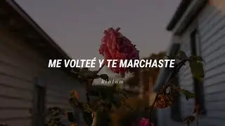 Don Williams // And So It Goes  (Traducción en español)