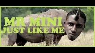 MR MINI - JUST LIKE ME