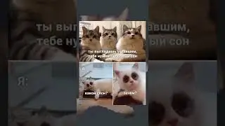 #телевизор #кровать #мама