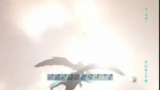 P L U C K E D