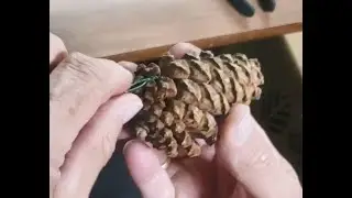 How to wire wrap pine cones