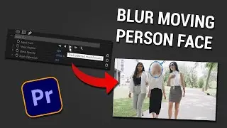 How to Blur a Face of a Moving Person in Premiere Pro ? Adobe Premiere Pro Tips and Tricks