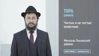 Тора: Глава ШМИНИ. Чистые и не чистые животные.