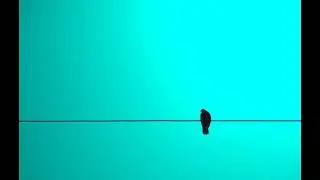 FREE-(Hot N Cold) LIRICAL BEAT Guitar beat / Type beat trap lyric instrumental 2021