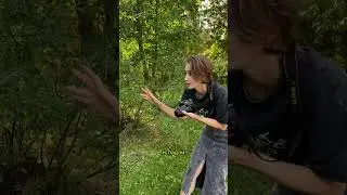 Посреди зимы вспоминаем летние попытки ребят повторить фотографии с обложек 