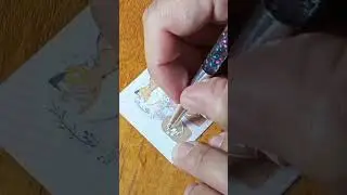 adesivo de unha Branquinho 