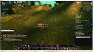 PC GAMING Wow Levelling
