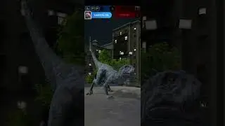 вызов зашита гнезда
