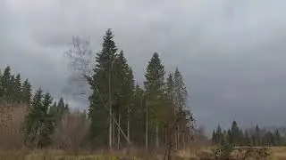 ***ШОК! УРАГАН В МОСКВЕ И ОБЛАСТИ (22.10.2021) - ОСЕННЯЯ ГРОЗА! (16+)***