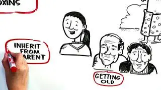 Cancer 101 Whiteboard