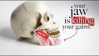 How your Jaw and Teeth mess up your Posture
