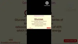 Glucose 
