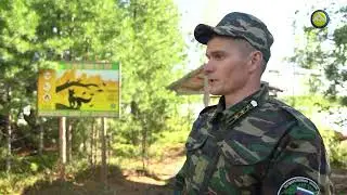 Красноселькупские лесничие на страже природы
