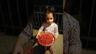 ქეთო, ასკინკილა, პატარძეული