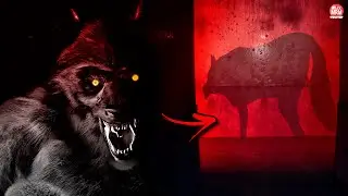 O POVO DA NOITE... NÃO CONFIE EM NINGUÉM DESSA FAMÍLIA | Night People