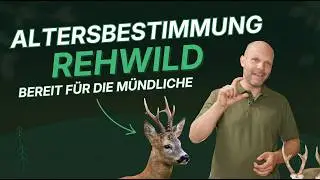 Roe deer – age determination by antlers?