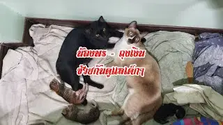 น้องพร - ถุงเงิน ช่วยกันดูแลเด็กๆ